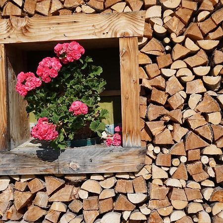 Studio Schwarzenauer Lägenhet Alpbach Exteriör bild