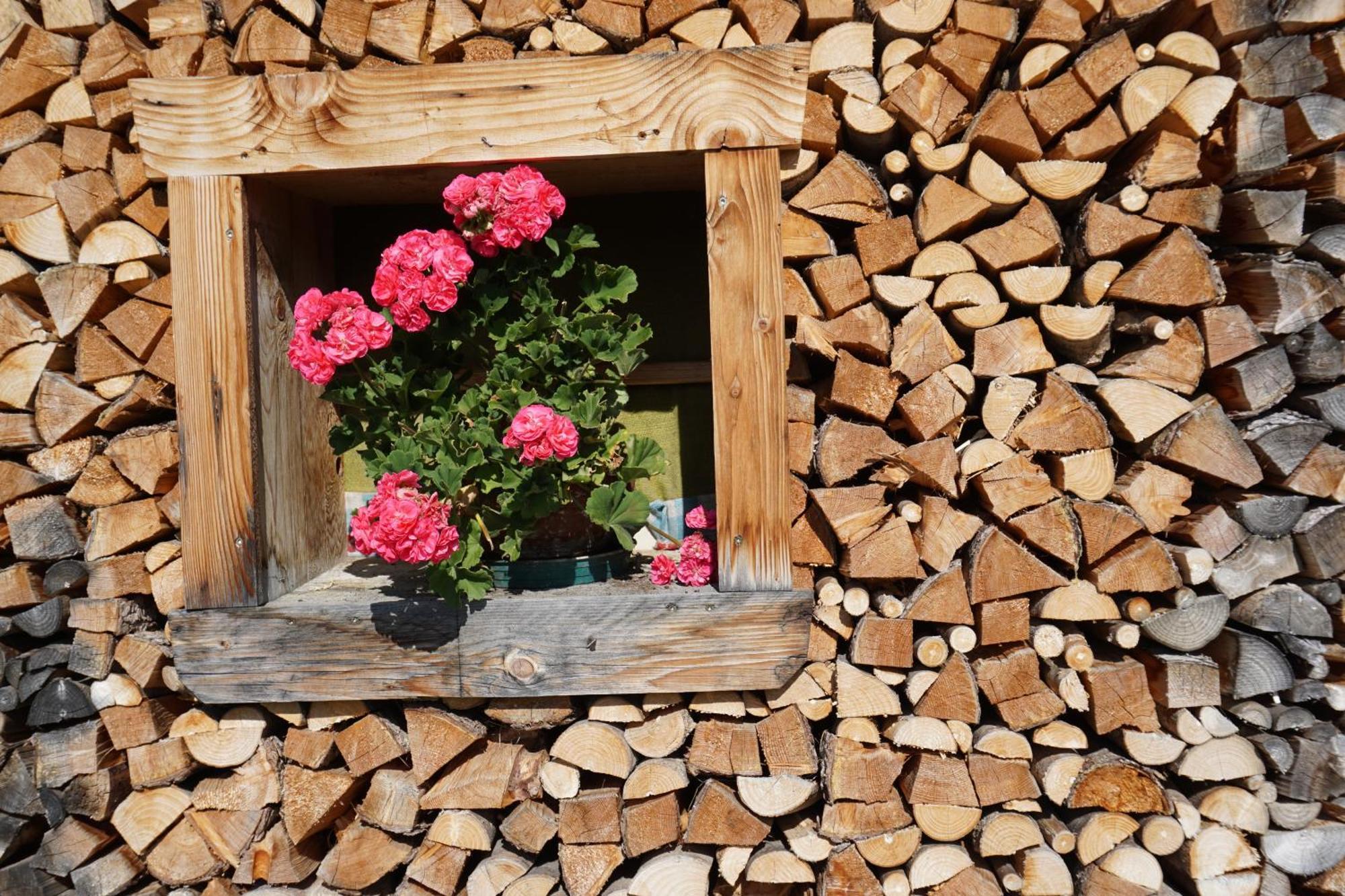 Studio Schwarzenauer Lägenhet Alpbach Exteriör bild