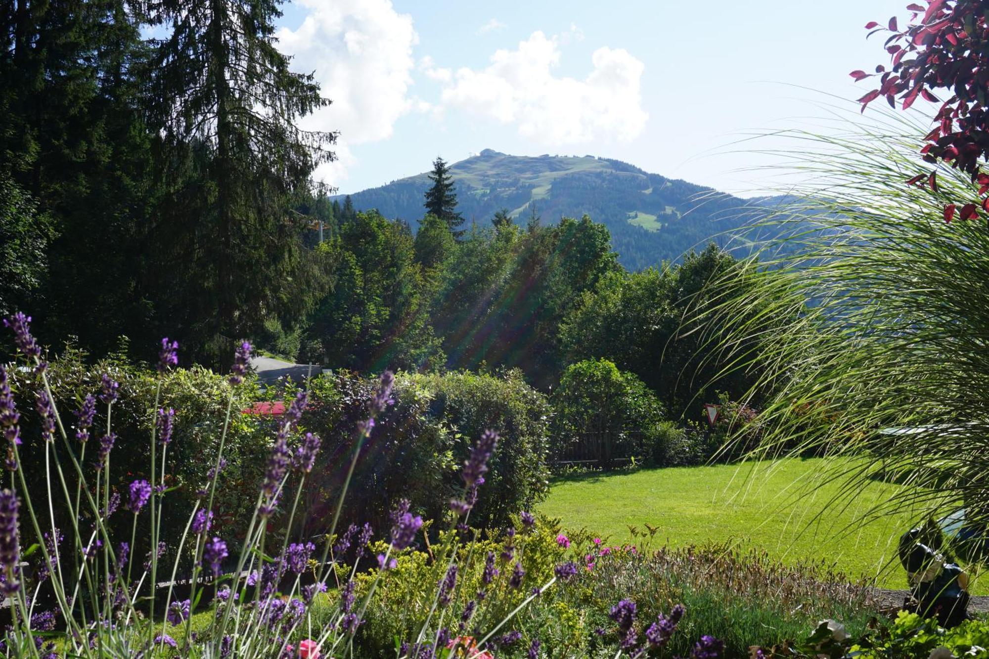 Studio Schwarzenauer Lägenhet Alpbach Exteriör bild