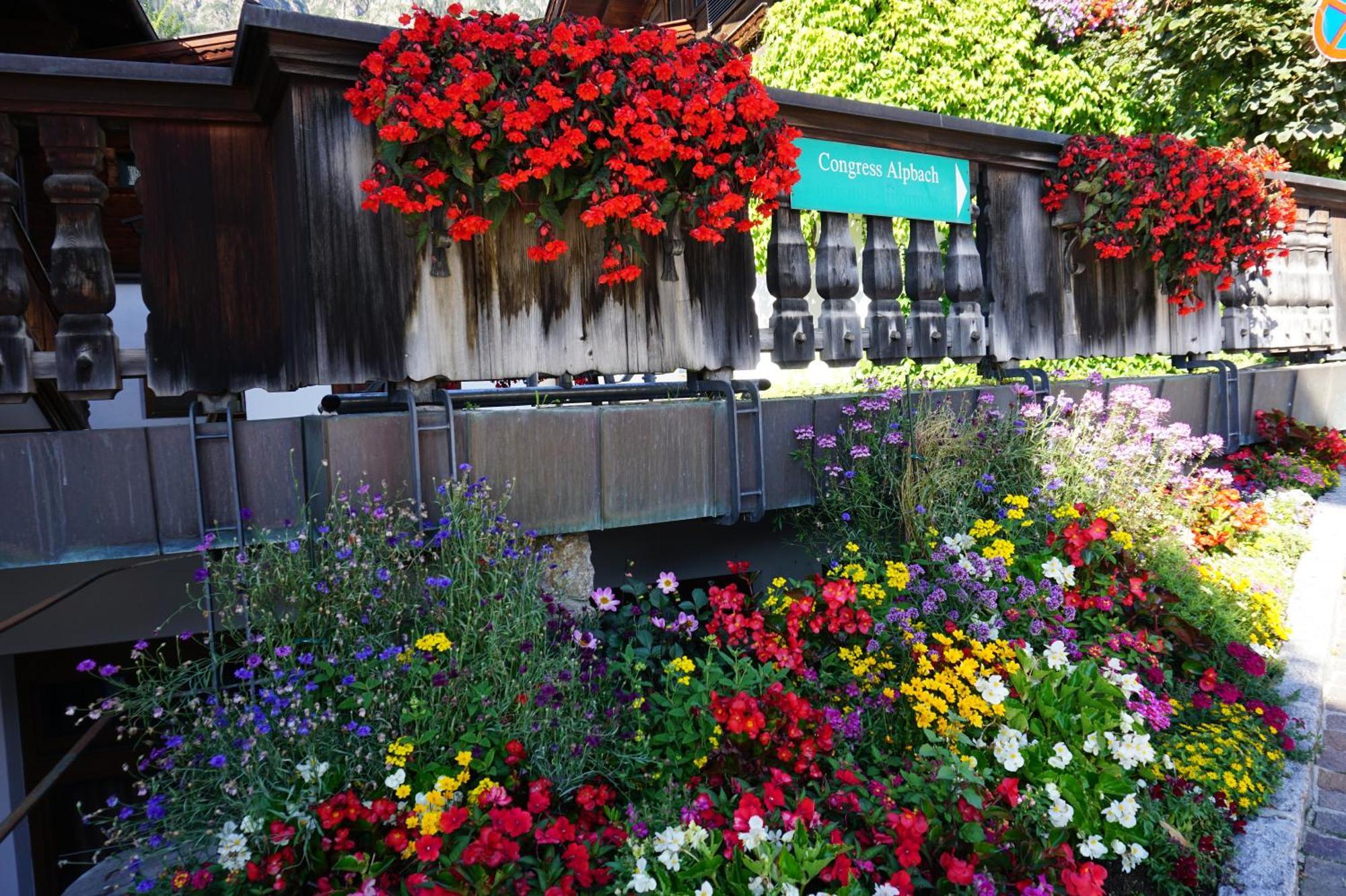 Studio Schwarzenauer Lägenhet Alpbach Exteriör bild