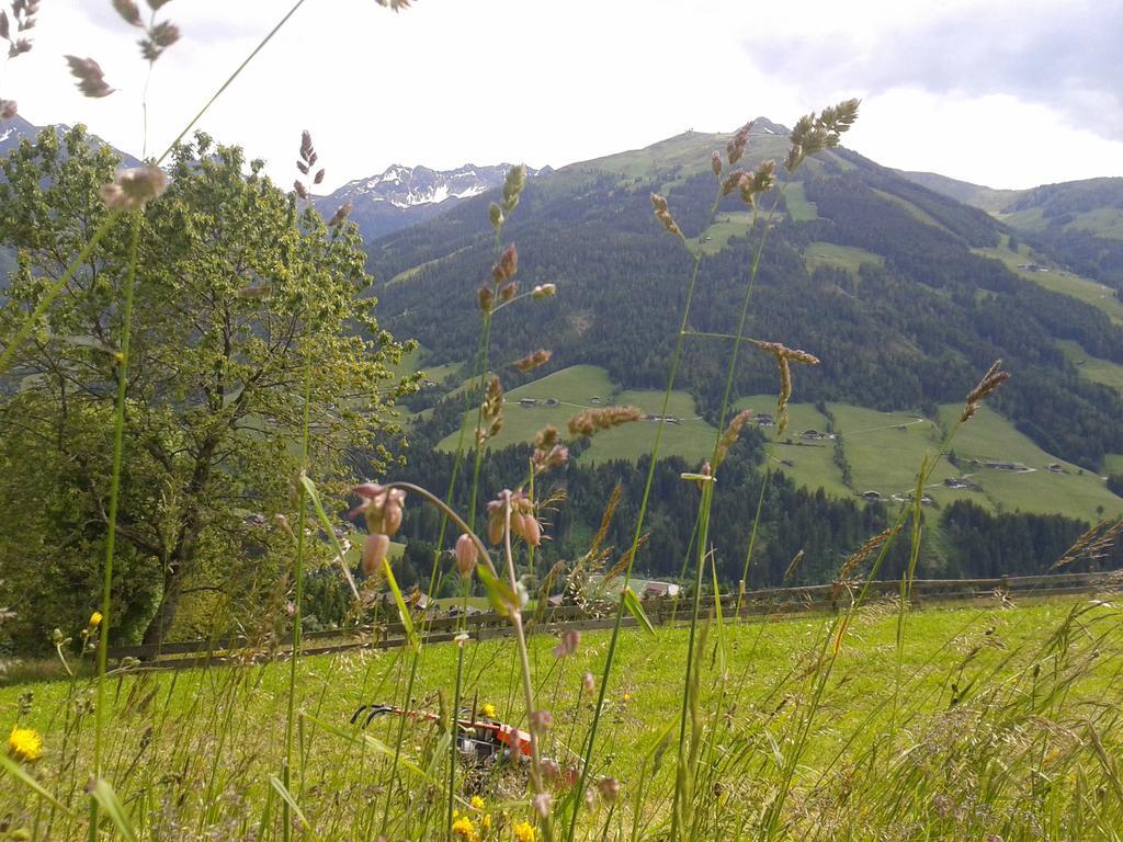 Studio Schwarzenauer Lägenhet Alpbach Exteriör bild