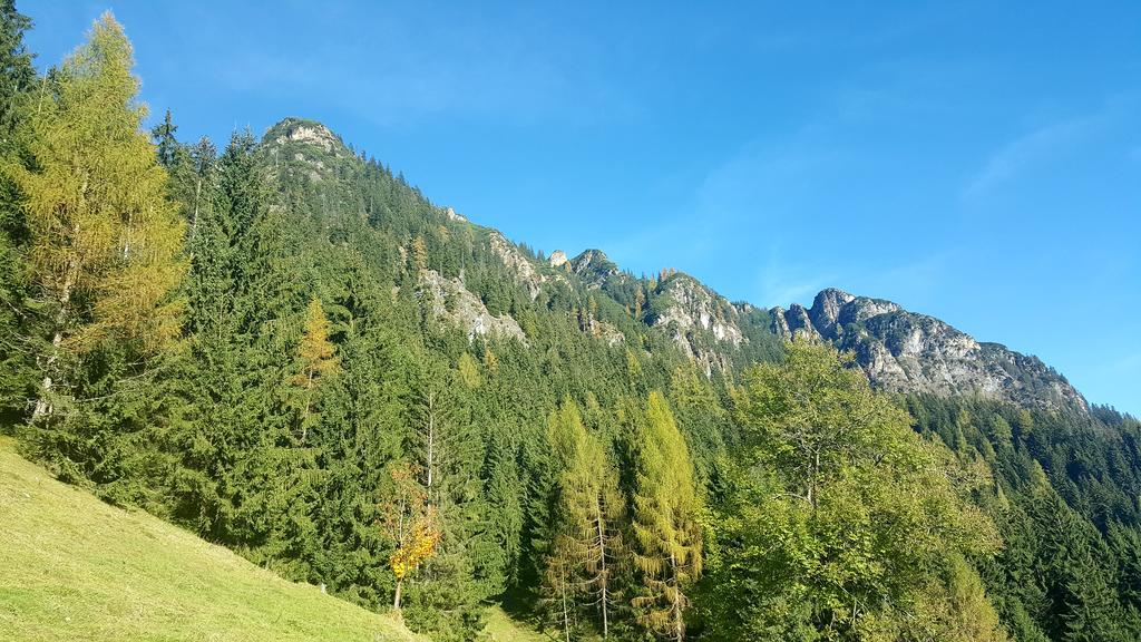 Studio Schwarzenauer Lägenhet Alpbach Exteriör bild