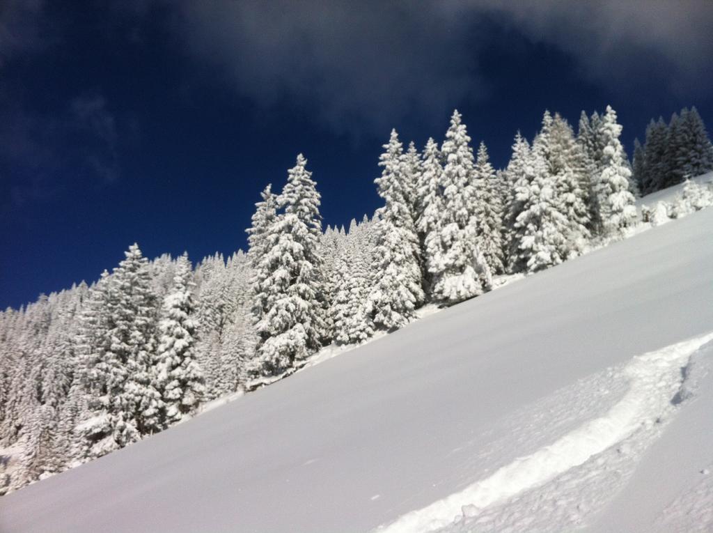 Studio Schwarzenauer Lägenhet Alpbach Exteriör bild