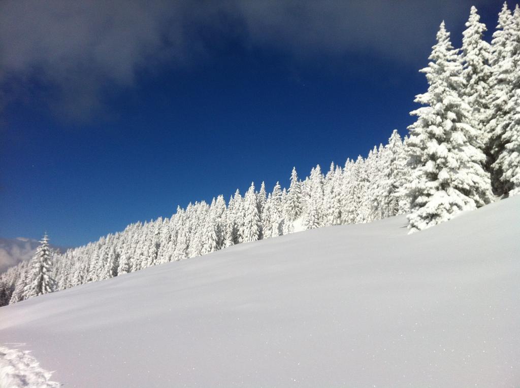 Studio Schwarzenauer Lägenhet Alpbach Exteriör bild