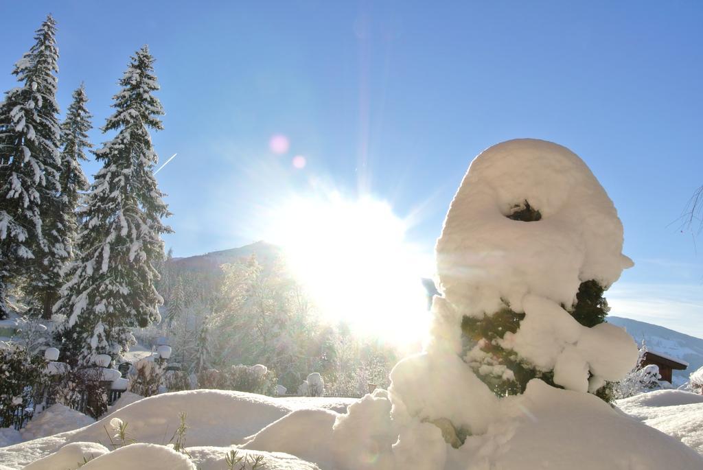 Studio Schwarzenauer Lägenhet Alpbach Exteriör bild