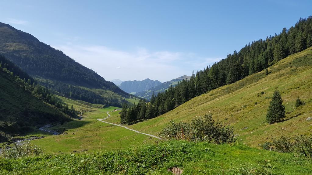 Studio Schwarzenauer Lägenhet Alpbach Exteriör bild