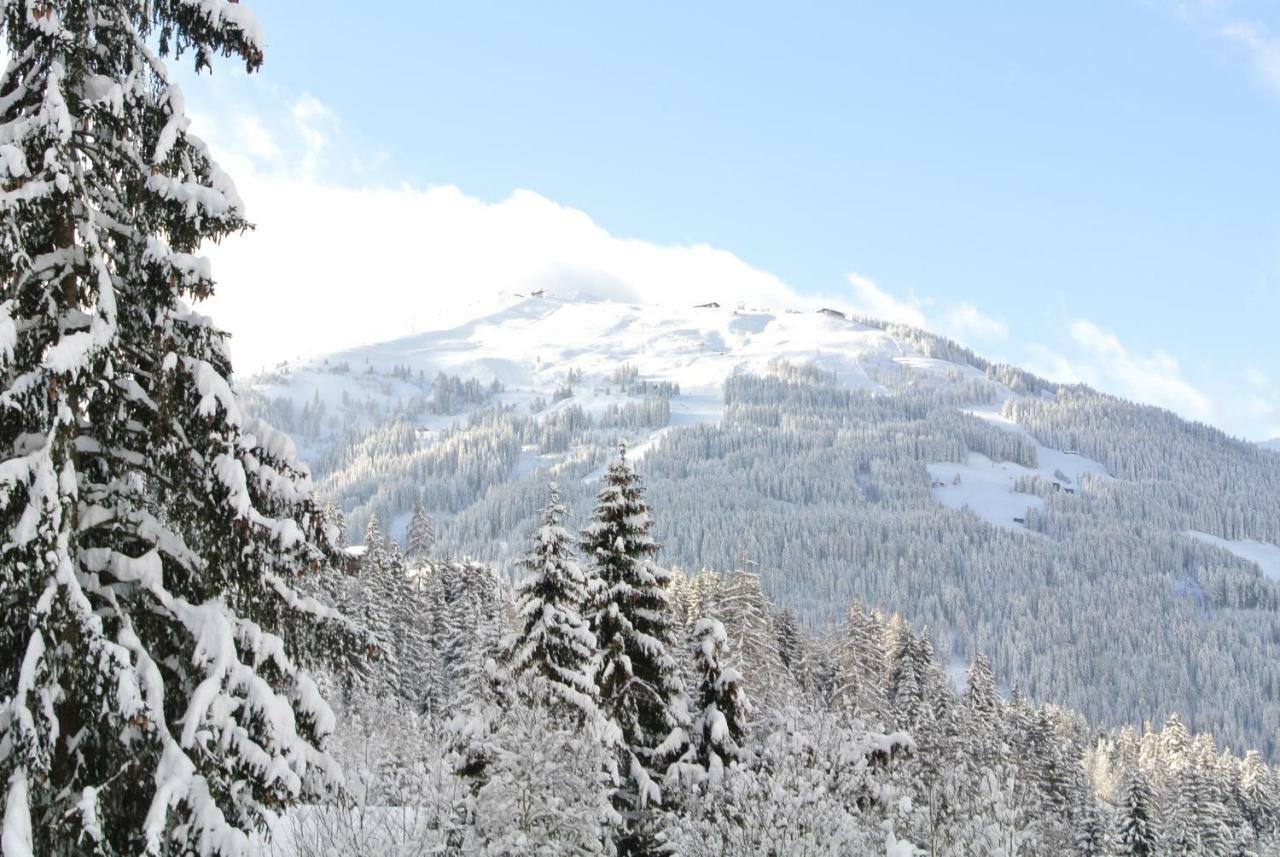 Studio Schwarzenauer Lägenhet Alpbach Exteriör bild
